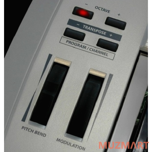 Samson CARBON 49 USB/MIDI-клавиатура