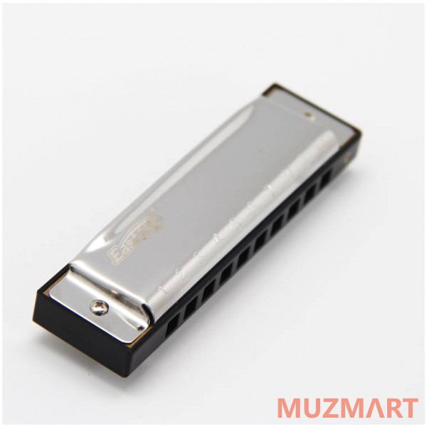 EASTTOP T10-3 G Диатоническая губная гармошка
