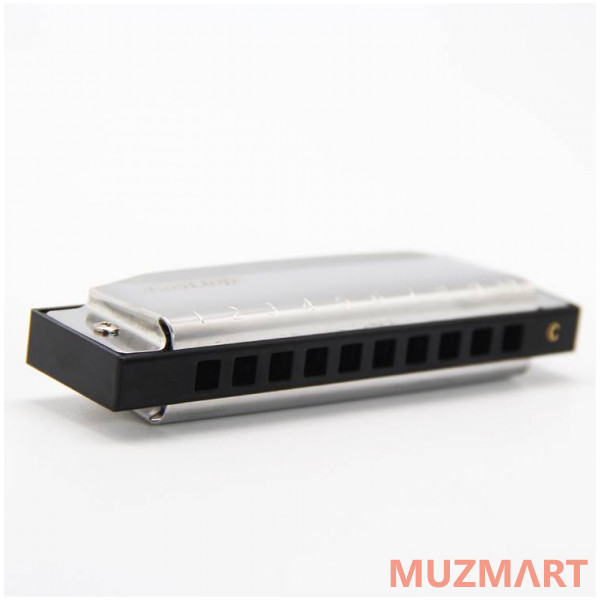 EASTTOP T10-3 G Диатоническая губная гармошка