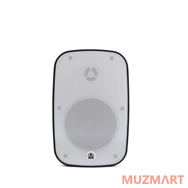 AuraSonics DENSE-5T-WH Трансляционный громкоговоритель