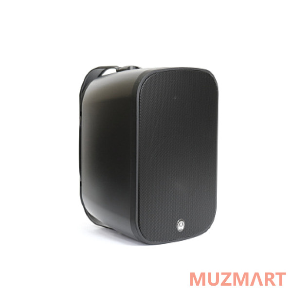 AuraSonics DENSE-6T Трансляционный громкоговоритель