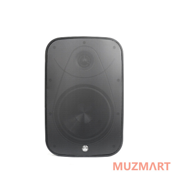 AuraSonics DENSE-6T Трансляционный громкоговоритель