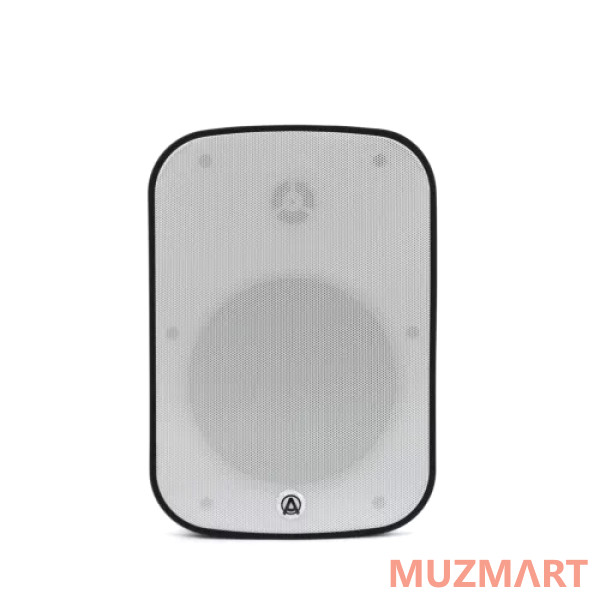 AuraSonics DENSE-6T-WH Трансляционный громкоговоритель
