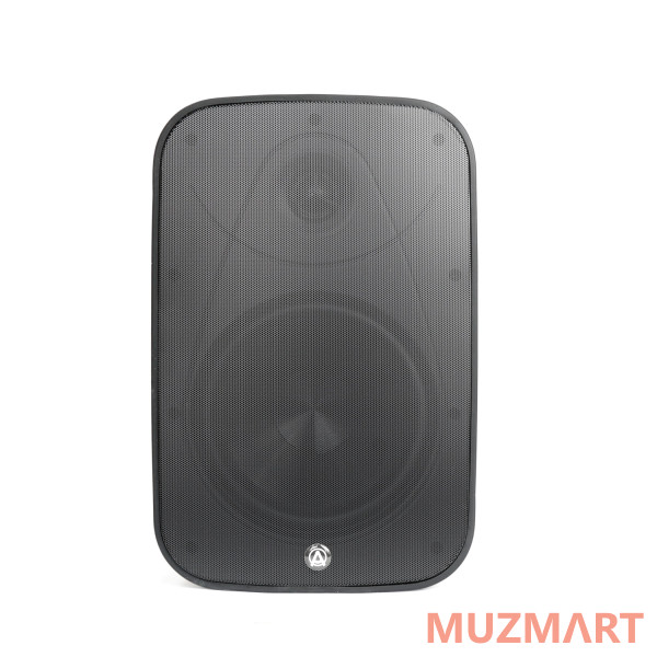 AuraSonics DENSE-8T Трансляционный громкоговоритель