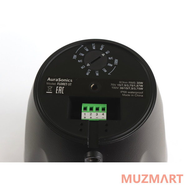 AuraSonics FLORET-5T Трансляционный громкоговоритель
