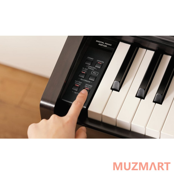 Kawai KDP120 R Цифровое пианино + банкетка