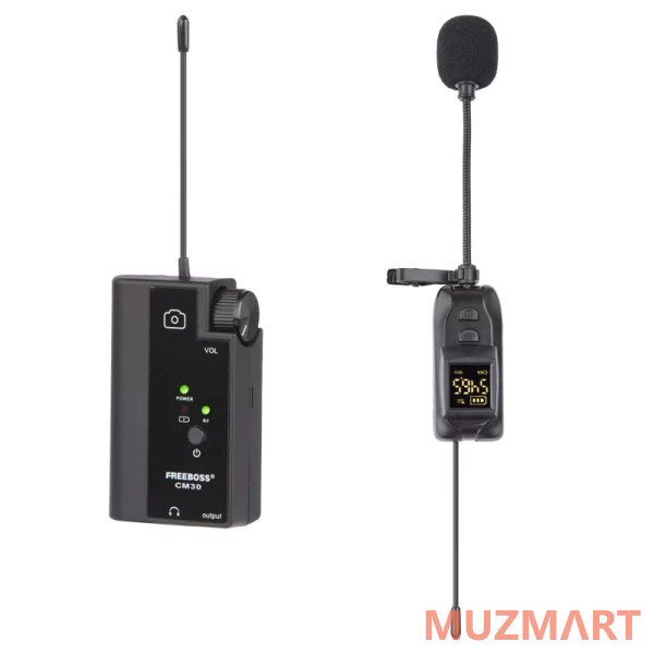 FREEBOSS CM30 Радиосистема накамерная