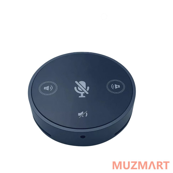 Recordio GAM-UM04 USB Конденсаторный настольный микрофон