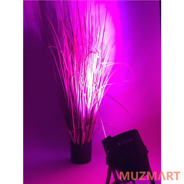 Ross PAR AXIS 1815 RGBWA Прожектор LED