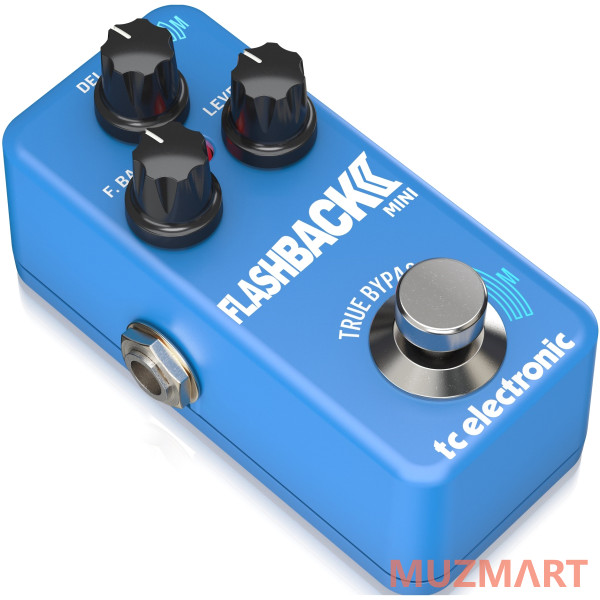 TC Electronic KIT FLASHBACK 2 MINI_ACDOO6 Педаль Delay с адаптером питания