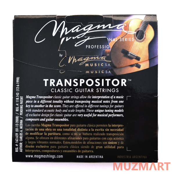 Magma Strings GCT-BG10 Струны для 10-струнной гитары 1E 2B 3D 4A 5E 6E 7G 8D 9A 10E нестандартный строй