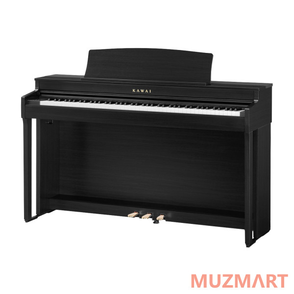Kawai CN301 B Цифровое пианино