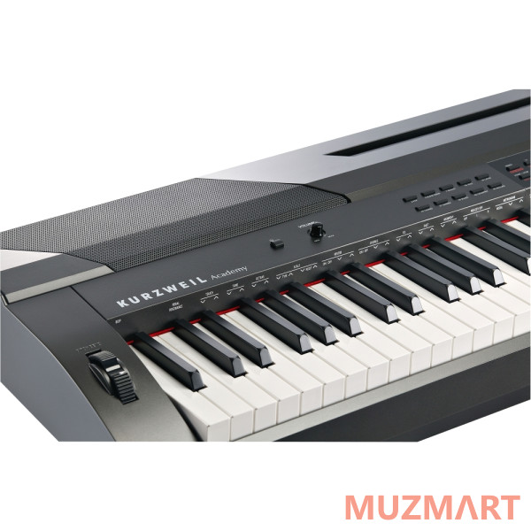 Kurzweil KA90 LB Цифровое пианино