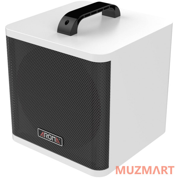 Aroma AG-40A WH Комбоусилитель для акустической гитары