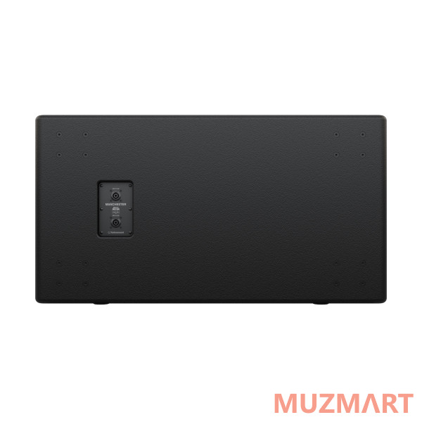 Turbosound MS218 Пассивный сабвуфер