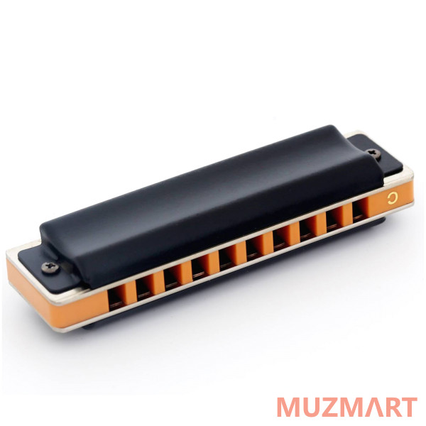 EASTTOP T008S G Диатоническая губная гармошка