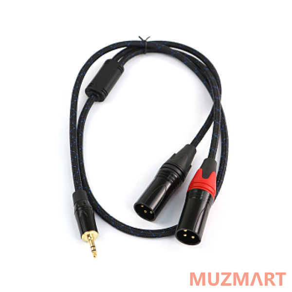 AuraSonics J35Y2XM-1 Аудио Y-кабель jack 3.5 - 2 x XLR, 1м