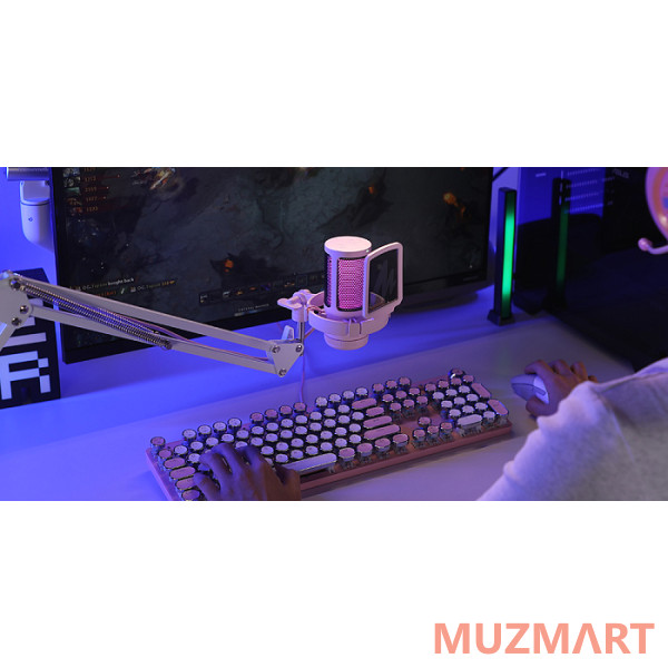 Maono DGM20S (pink) Конденсаторный USB микрофон