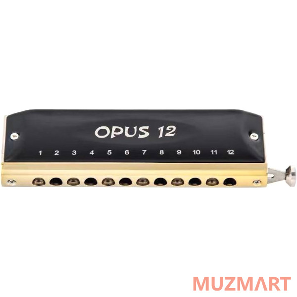 EASTTOP OPUS 12 C Губная гармоника хроматическая