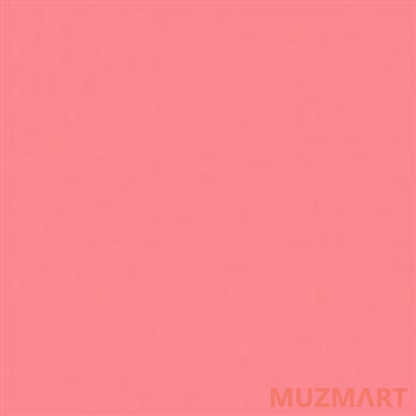 Rosco 31 Salmon PINK; Светофильтр пленочный Supergel