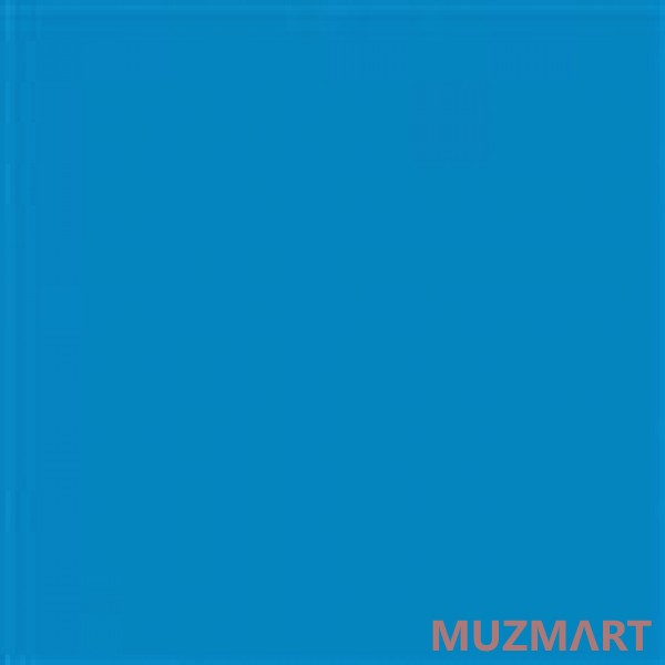 Rosco 69 Brilliant Blue Светофильтр пленочный Supergel
