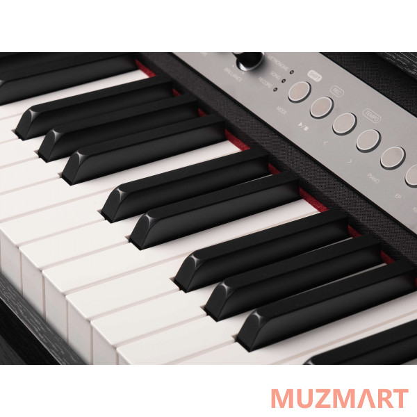 Medeli CP203-BK Цифровое пианино, черное