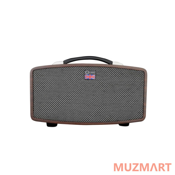 Carlsbro STINGRAY D5 Цифровой гитарный усилитель
