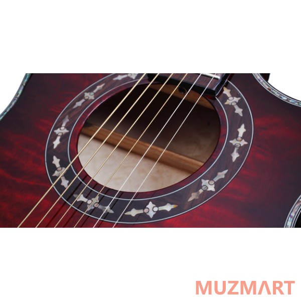 Schecter Hellraiser Stage Ac BCH Электроакустическая гитара