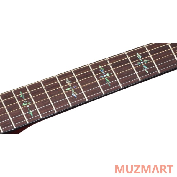 Schecter Hellraiser Stage Ac BCH Электроакустическая гитара