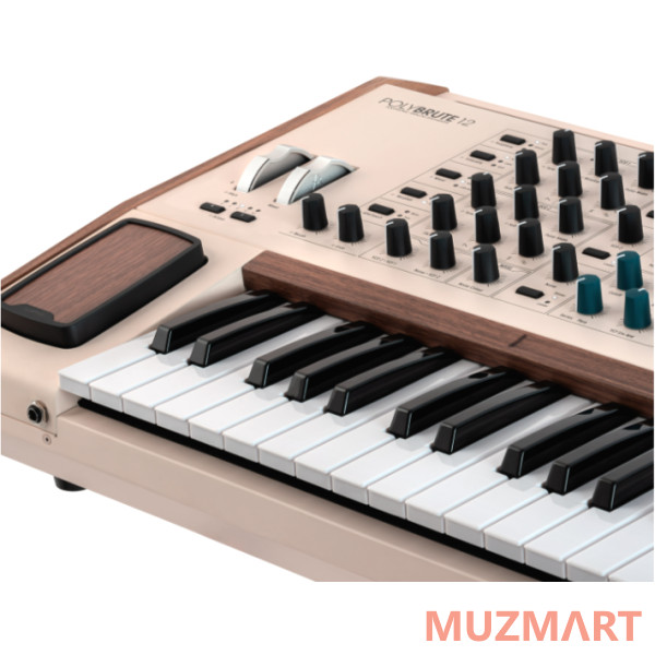 Arturia PolyBrute 12 Аналоговый синтезатор