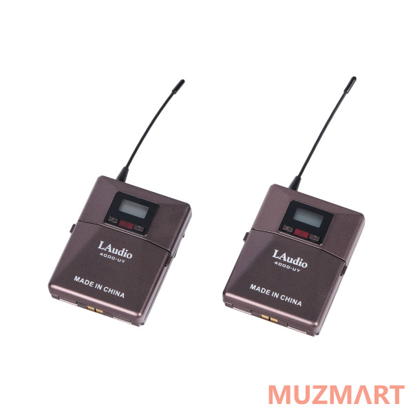 LAudio 4000-UY Беспроводная микрофонная система, 2 головных микрофона
