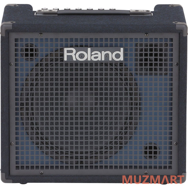 Roland KC-200 Клавишный комбо