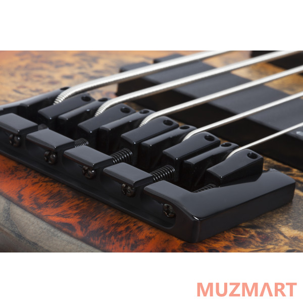 Schecter RIOT-5 INFERNO BURST (SIB) 5-ти струнная бас-гитара