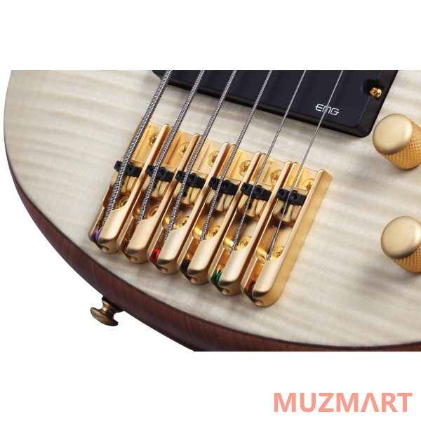 Schecter STILETTO CUSTOM-6 NAT 6-струнная бас-гитара
