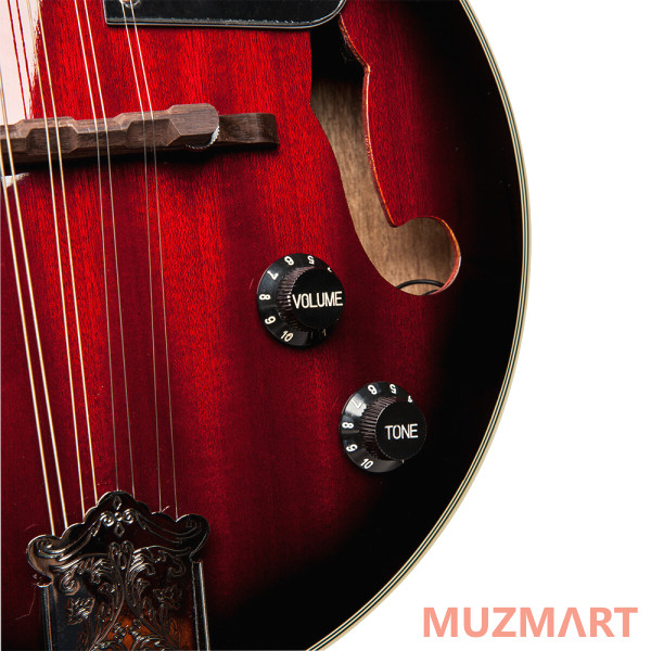 Stagg M50E электроакустическая мандолина