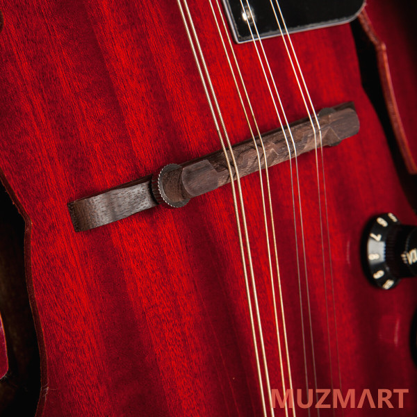 Stagg M50E электроакустическая мандолина