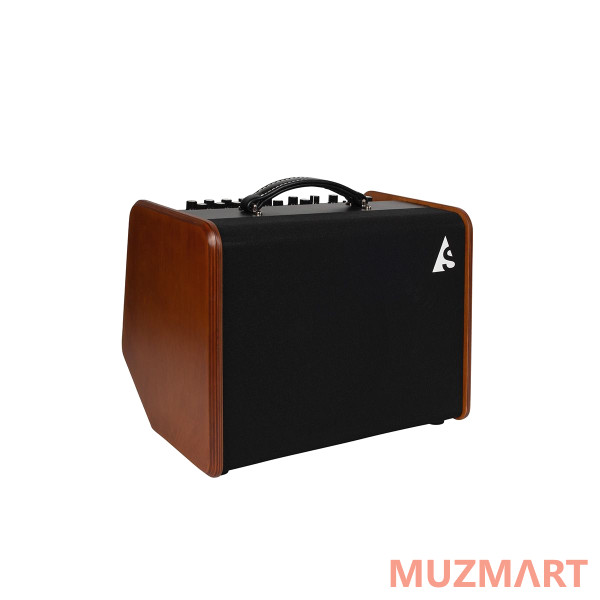Godin Acoustic Solutions ASG-8 120 Wood Комбоусилитель для акустической гитары