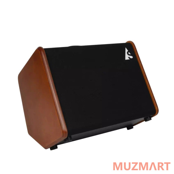 Godin Acoustic Solutions ASG-8 120 Wood Комбоусилитель для акустической гитары