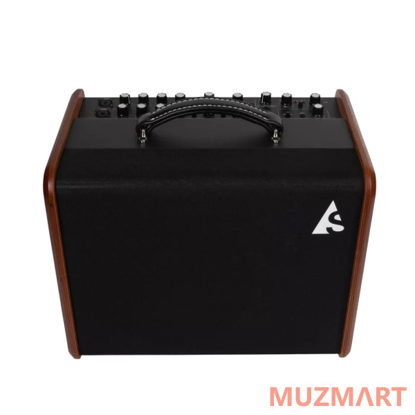 Godin Acoustic Solutions ASG-8 120 Wood Комбоусилитель для акустической гитары