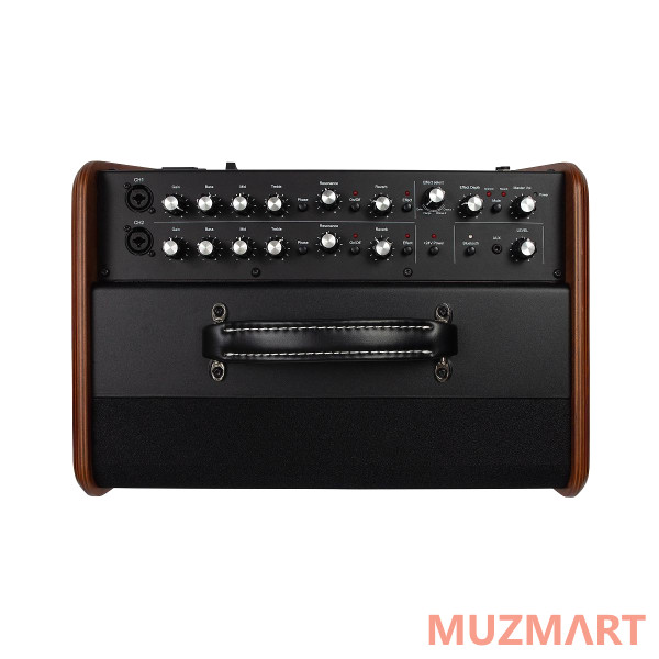 Godin Acoustic Solutions ASG-8 120 Wood Комбоусилитель для акустической гитары
