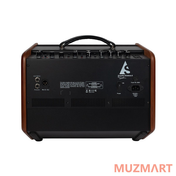 Godin Acoustic Solutions ASG-8 120 Wood Комбоусилитель для акустической гитары