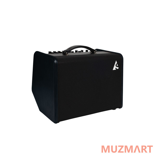 Godin Acoustic Solutions ASG-8 120 Black Комбоусилитель для акустической гитары