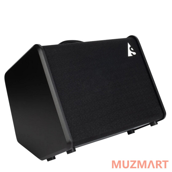 Godin Acoustic Solutions ASG-8 120 Black Комбоусилитель для акустической гитары