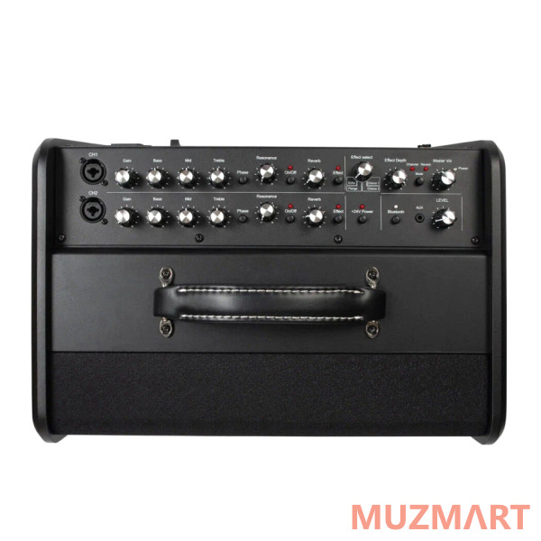 Godin Acoustic Solutions ASG-8 120 Black Комбоусилитель для акустической гитары