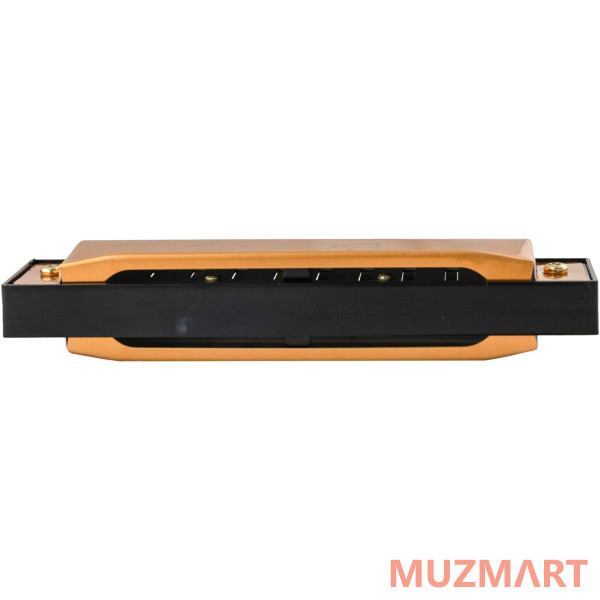 BEE DF10A-1 GOLD Губная гармоника диатоническая