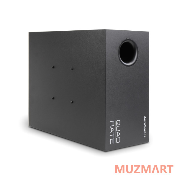 AuraSonics QUADRATE SUB-BK Компактный настенный сабвуфер 6,5"