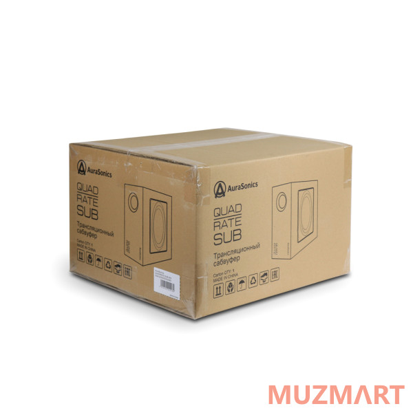 AuraSonics QUADRATE SUB-BK Компактный настенный сабвуфер 6,5"
