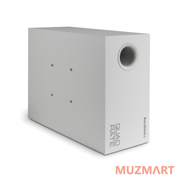 AuraSonics QUADRATE SUB-WH Компактный настенный сабвуфер 6,5"