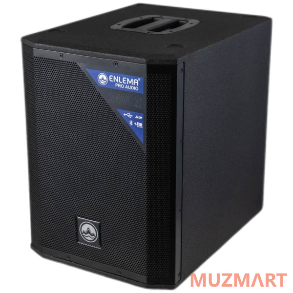 Enlema APS 1000 DSP Акустическая система