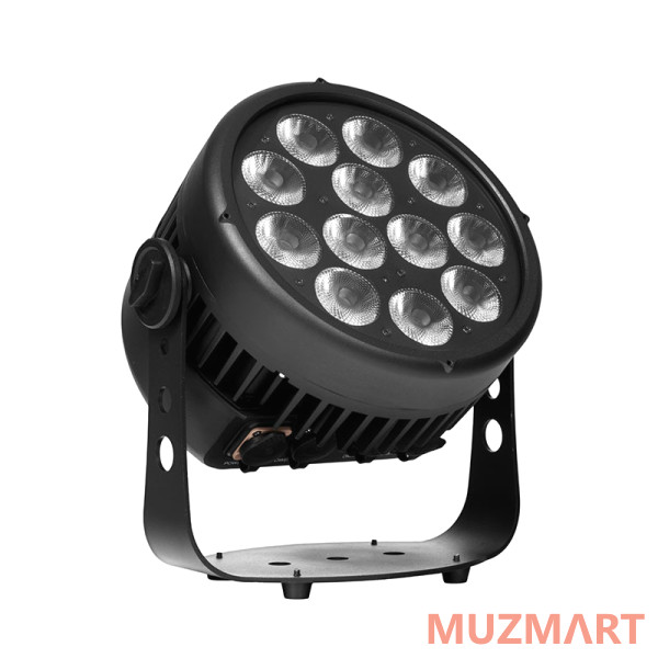Stage4 REPAR 12x8CW IP Прожектор типа PAR